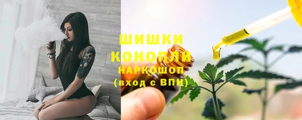 PSILOCYBIN Зерноград