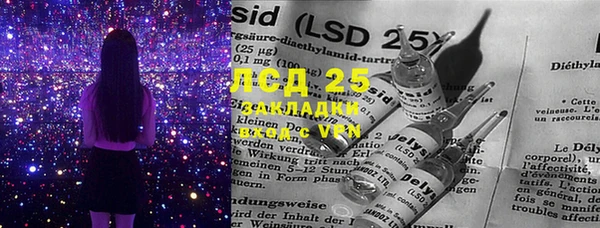 PSILOCYBIN Зерноград