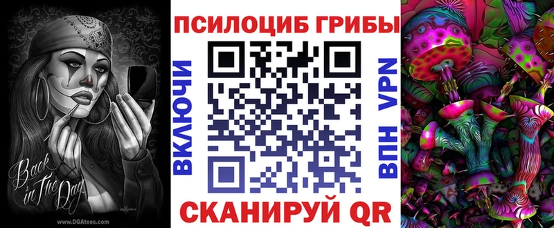 Галлюциногенные грибы Cubensis  Купить где  Верещагино 