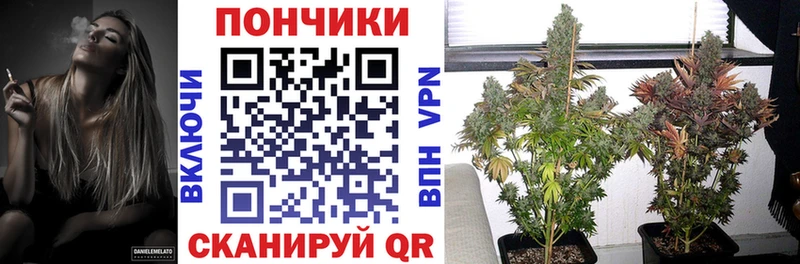 Каннабис White Widow Верещагино